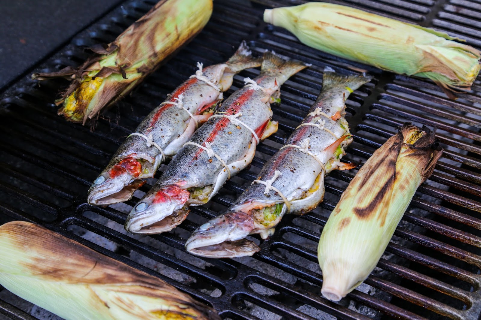 grilled butterflied trout